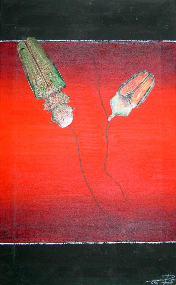Käfer II